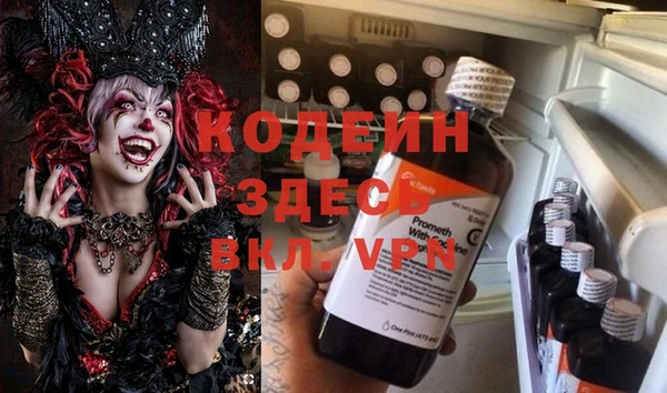 молекула духа Дмитриев