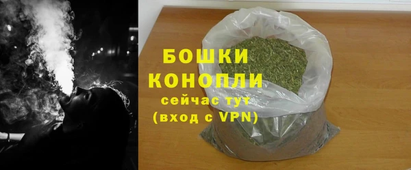 молекула духа Дмитриев